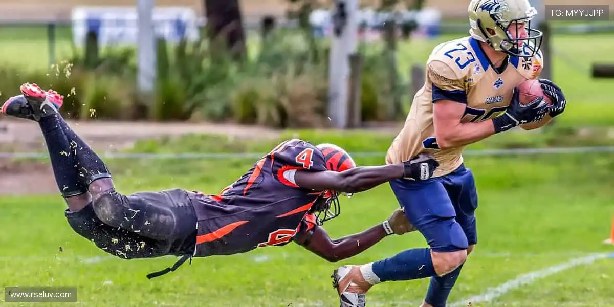 🎯 从装备到情怀,